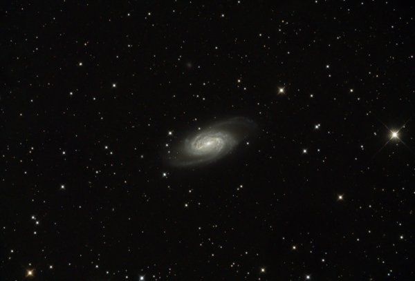 NGC2903_L_Spica Observatory_Cyprus