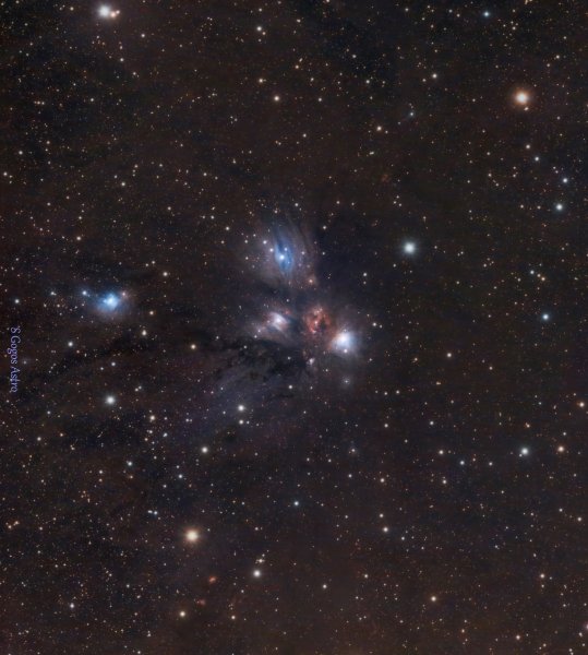 Angel Nebula NGC 2170