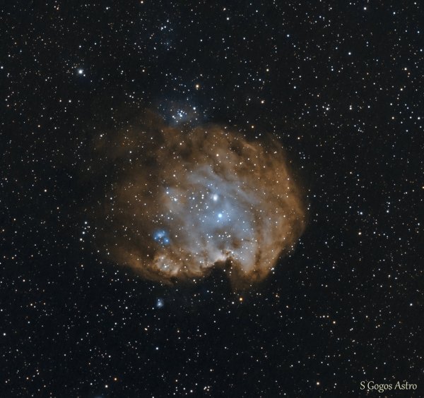 Monkey Head Nebula