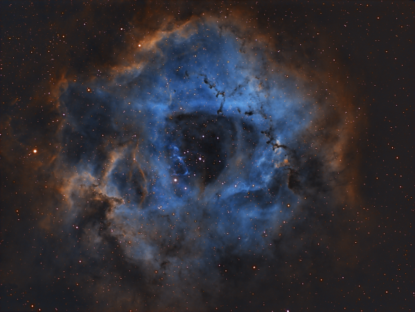 rosette nebula