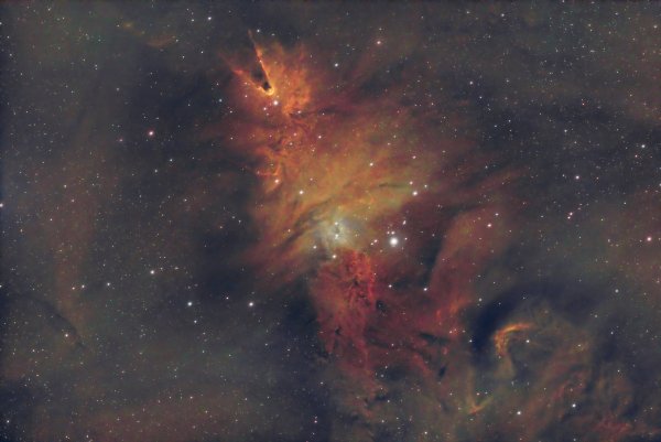 Cone Nebula