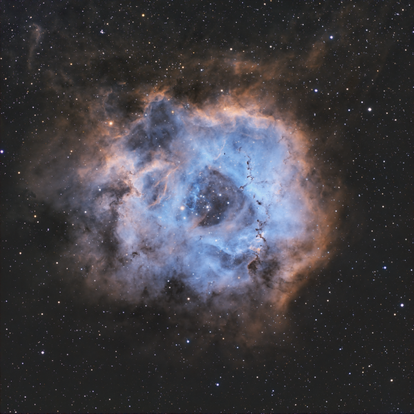 Rosette nebula