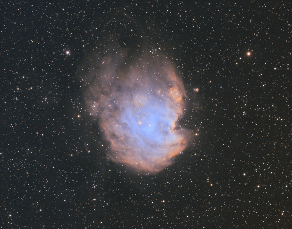 monkeyhead nebula