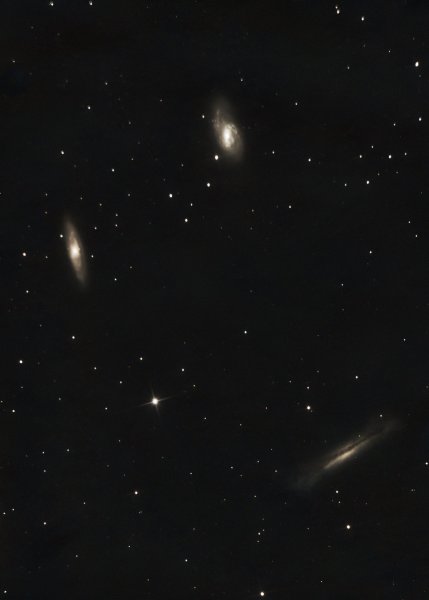 leo triplet.jpg