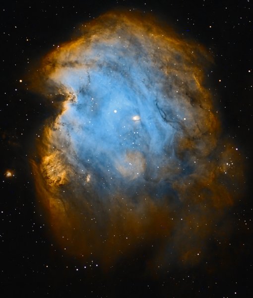 Περισσότερες πληροφορίες για το "monkey Head Nebula"