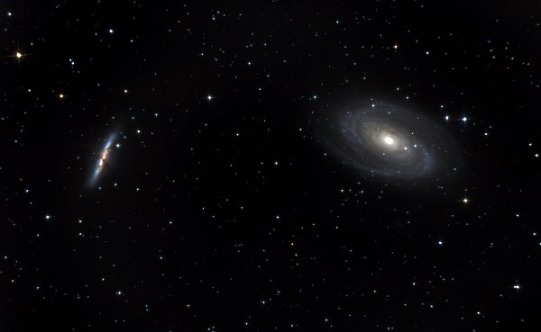 M81-82