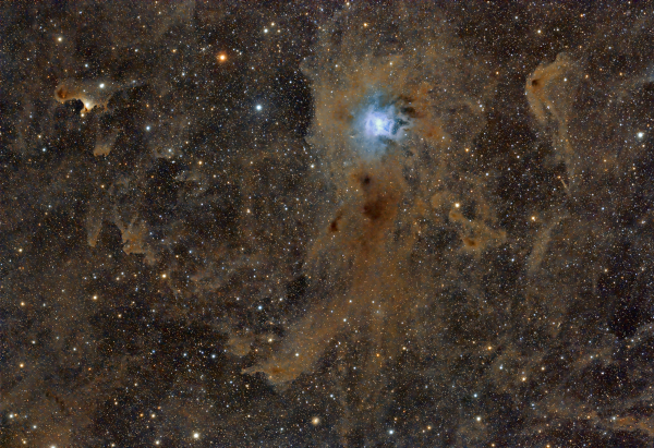 NGC 7023PIX_Ps.png