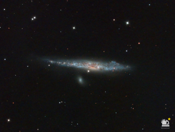 Γαλαξίας Φάλαινα - Whale Galaxy (NGC4631)