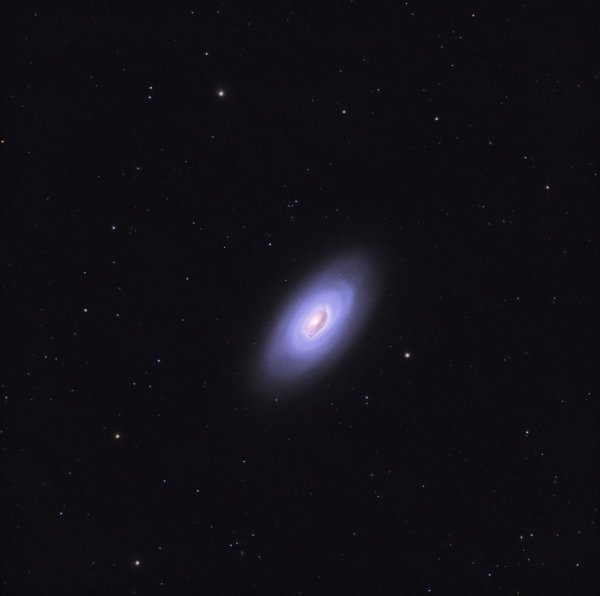 M64