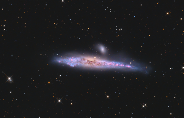 Whale Galaxy Ngc 4631 HaLRGB version