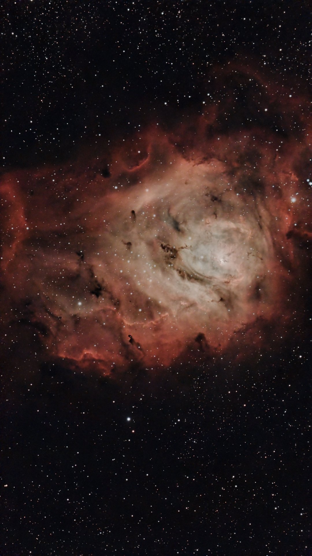 masterLight_BIN-1_1080x1920_EXPOSURE-10.00s_FILTER-LP_RGB.jpg