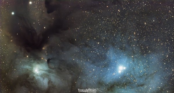 Rho Ophiuchi Cloud