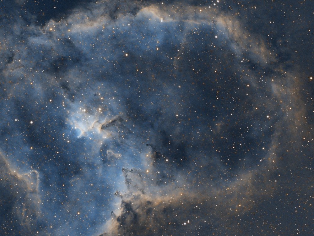 ic1805final.jpeg