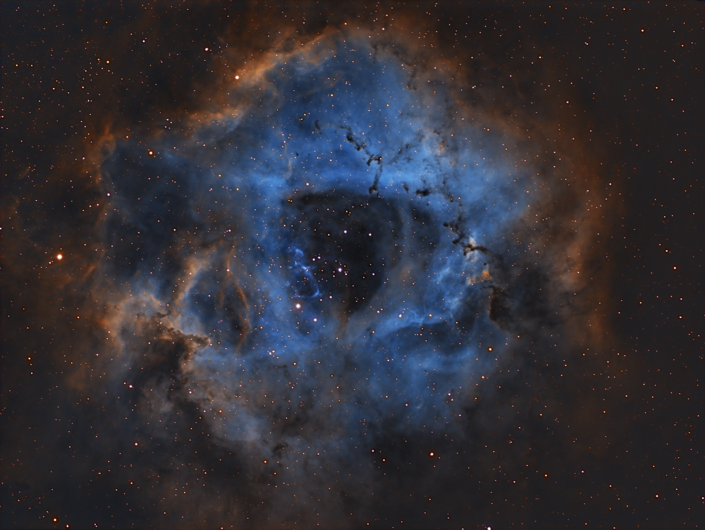 rosette nebula.png