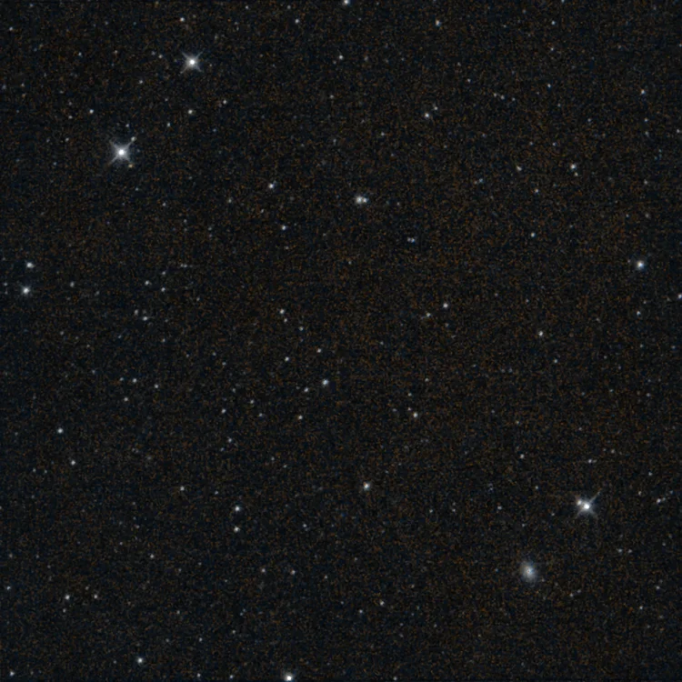 neowise-last-frame.webp