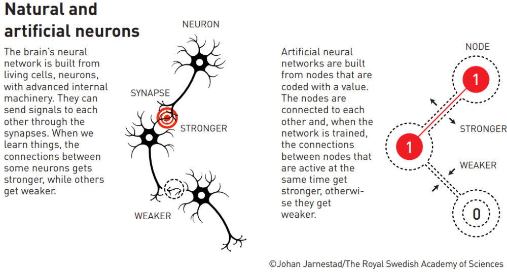 neurons1.png