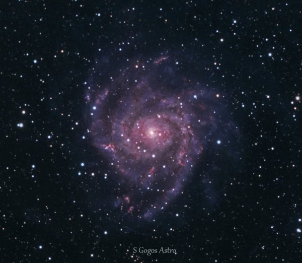 ic 342