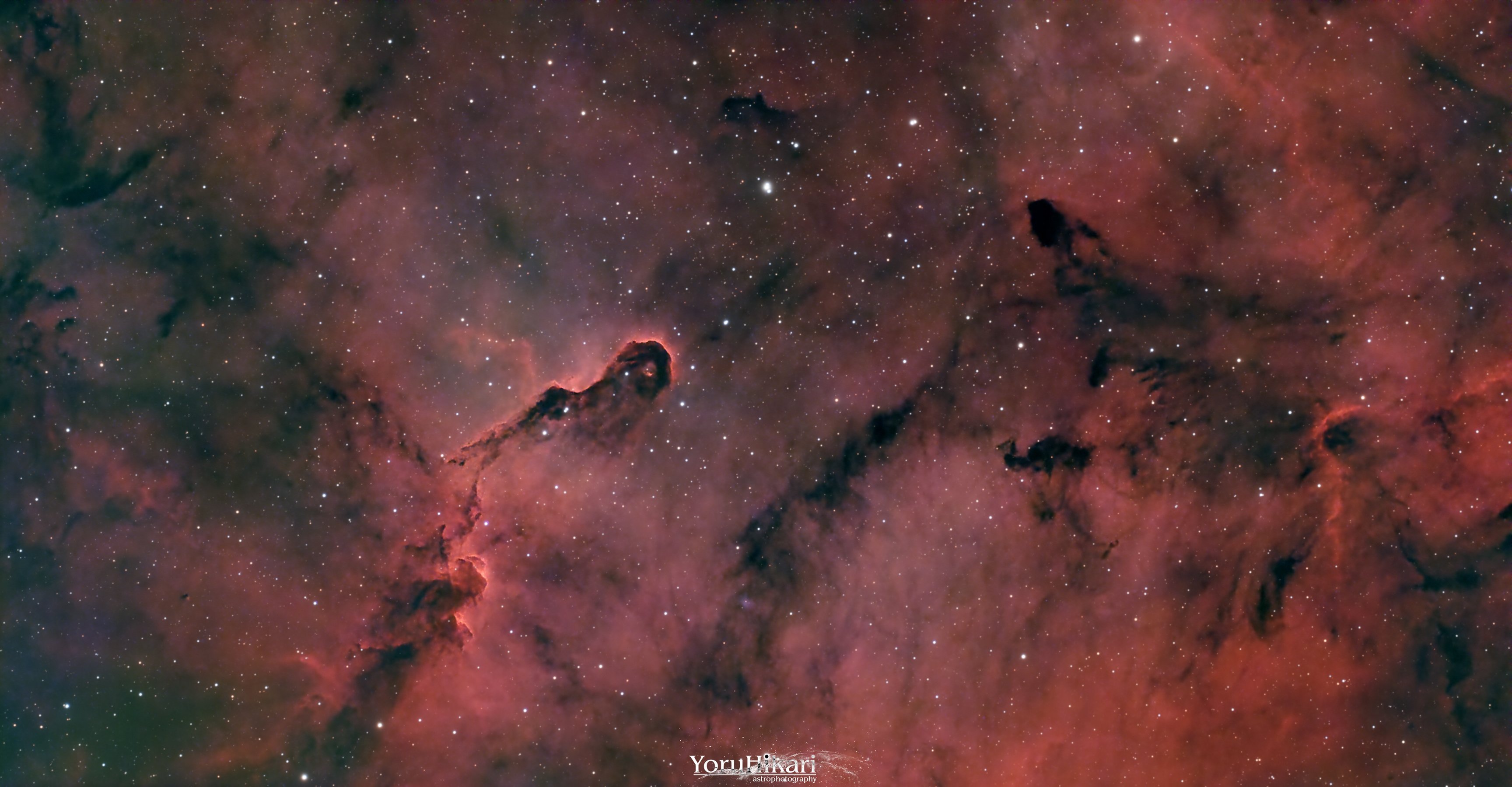 IC 1396 Elephant's Trunk