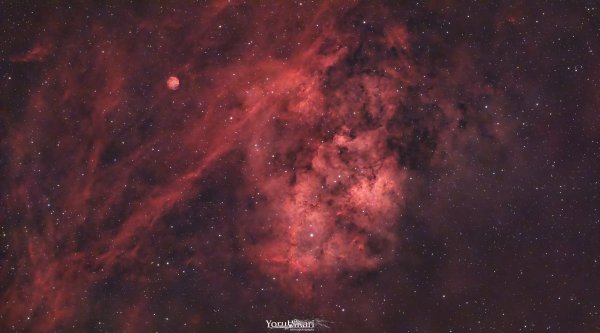 SH2_115