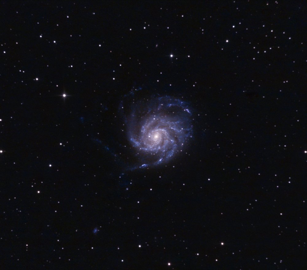 20250530_121719 (1).jpg