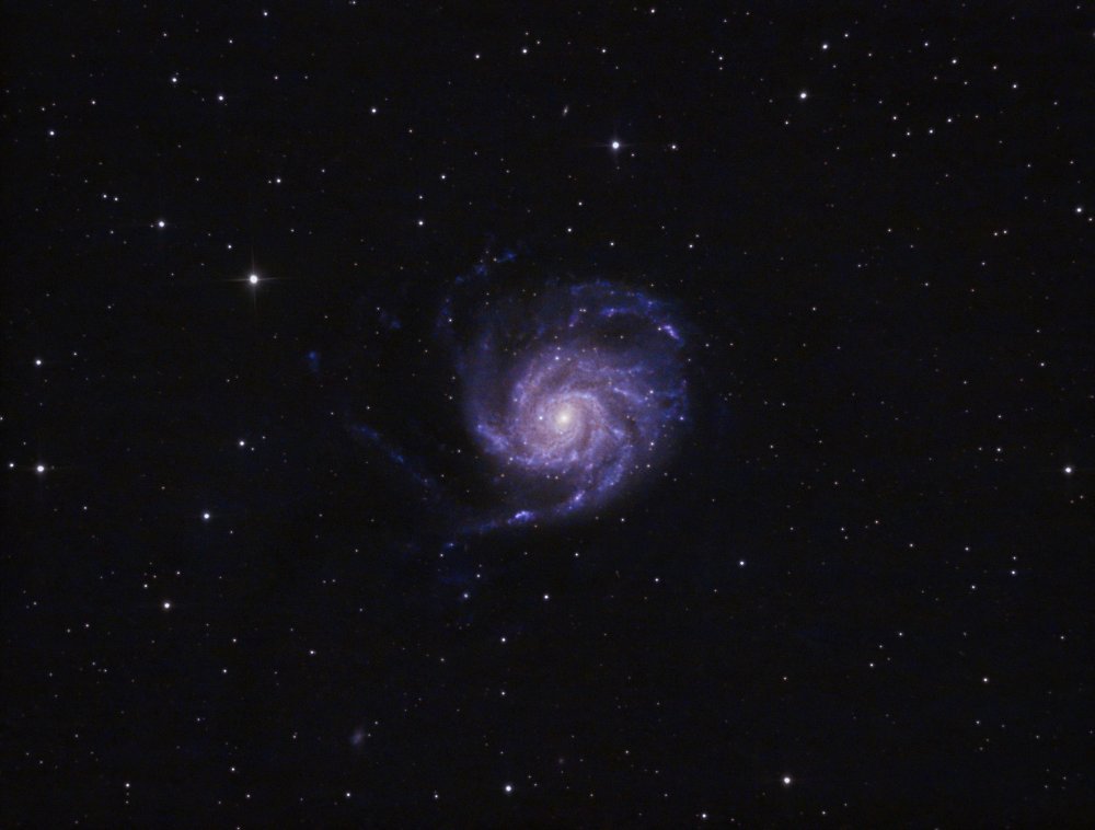 Pinwheel Galaxy (2025).jpg