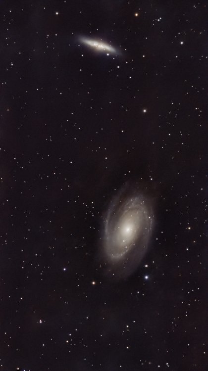 m81.jpg