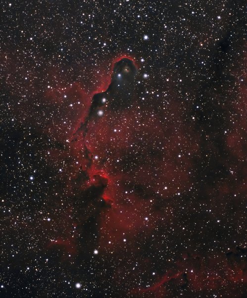 IC1396 (Elephant Trunk Nebula) Ha+RGB