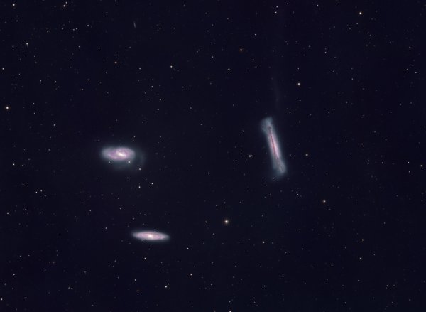 Leo Triplet