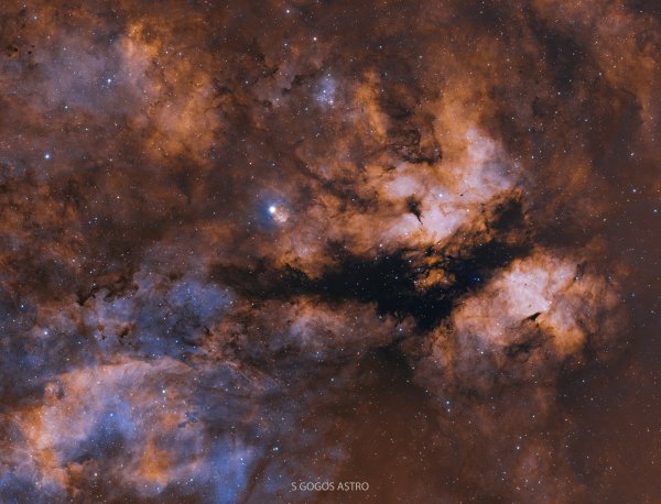 IC 1318