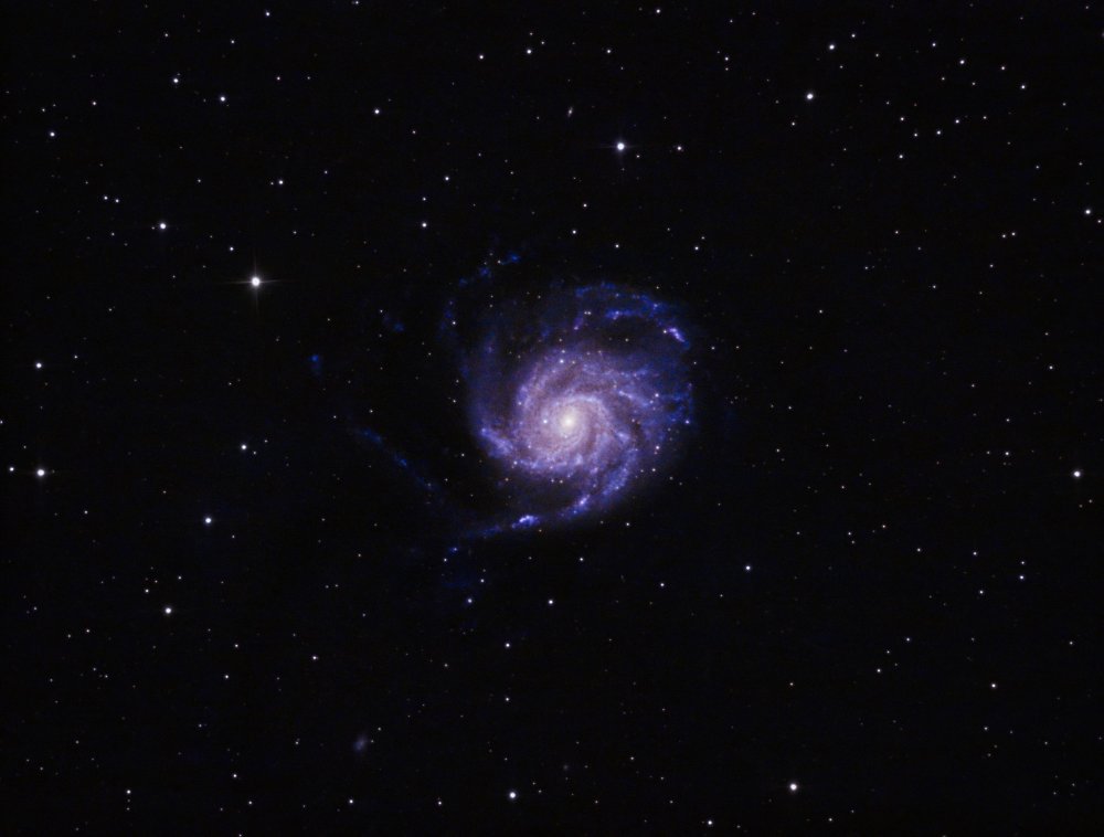 Pinwheel Galaxy (2025).jpg