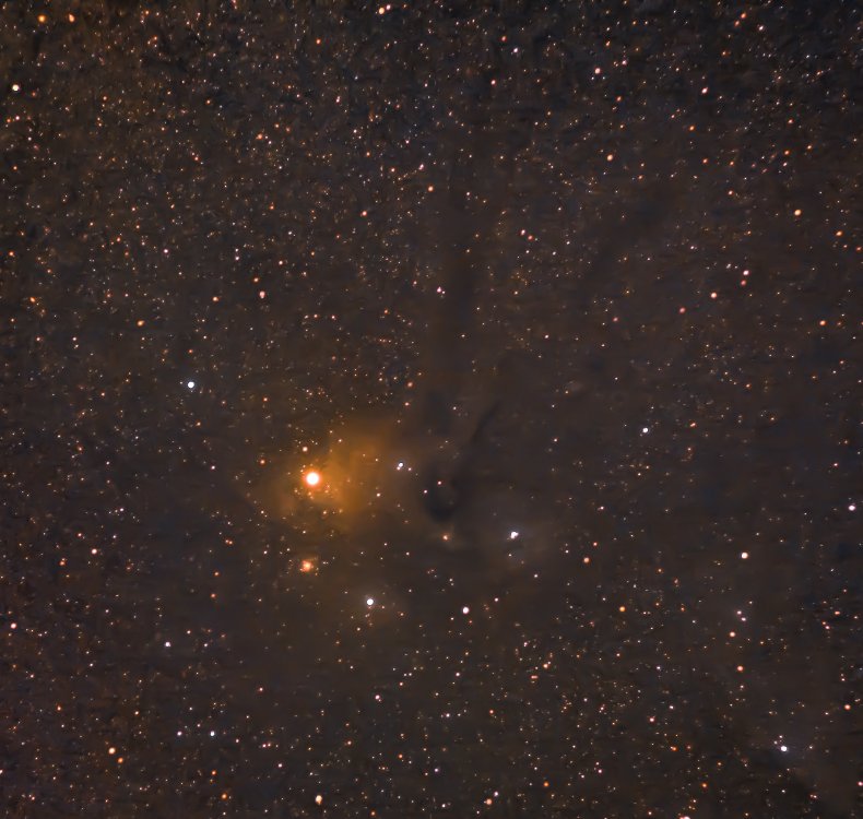 Rho Ophiuchi Cloud Complex .jpg