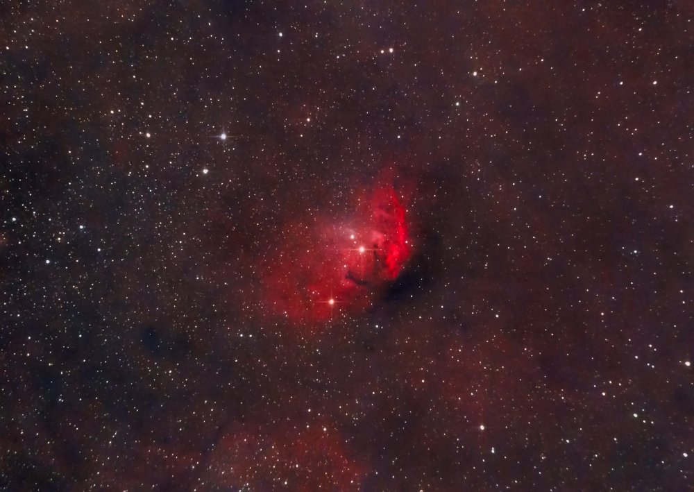 Tulip Nebula.jpg