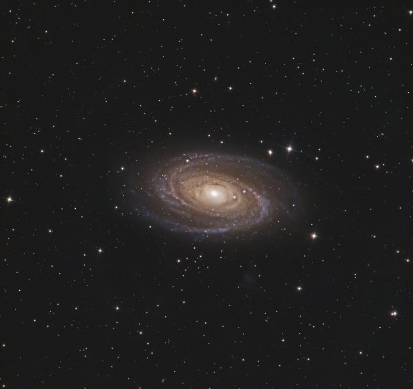 BODE'S GALAXY