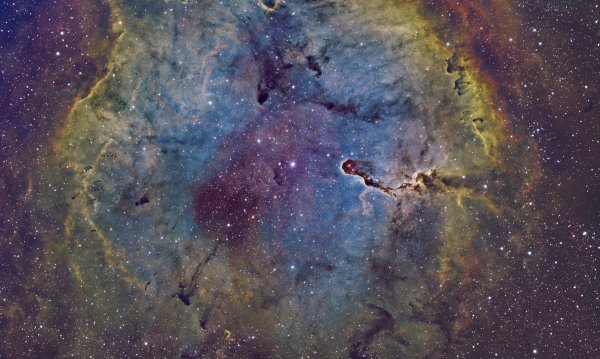 IC1396
