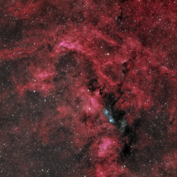 LDN 900  NGC 6914