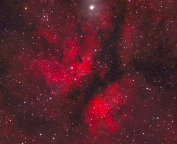 🌌 IC 1318 - Butterfly Nebula 🦋