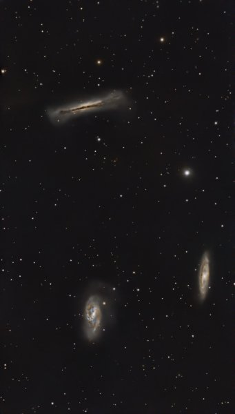 leo triplet.jpg