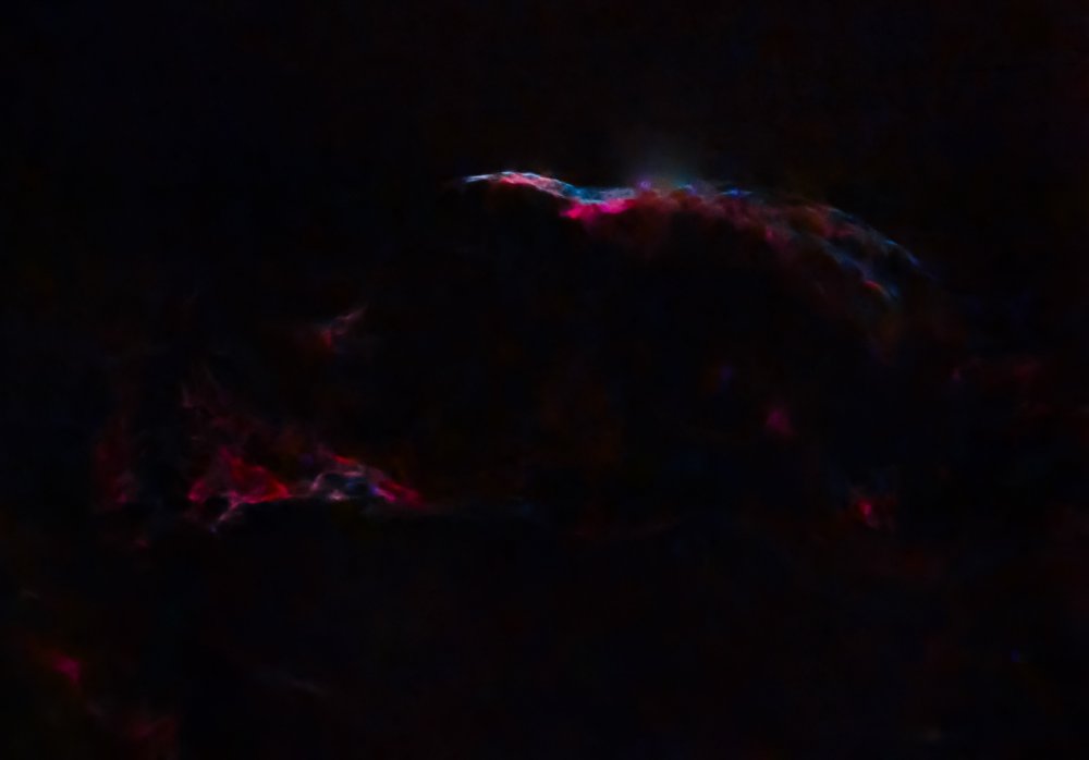 20250717_124231 (1).jpg