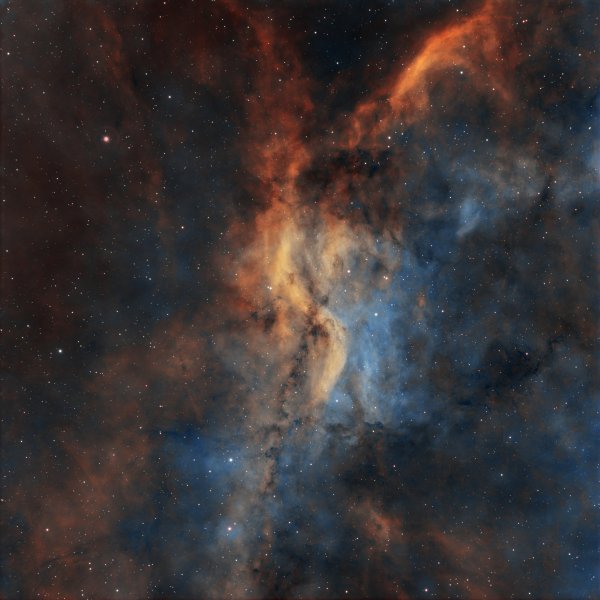 DWB-111