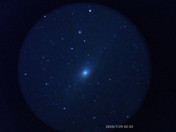 M31