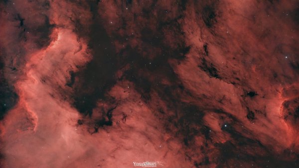 NGC 7000