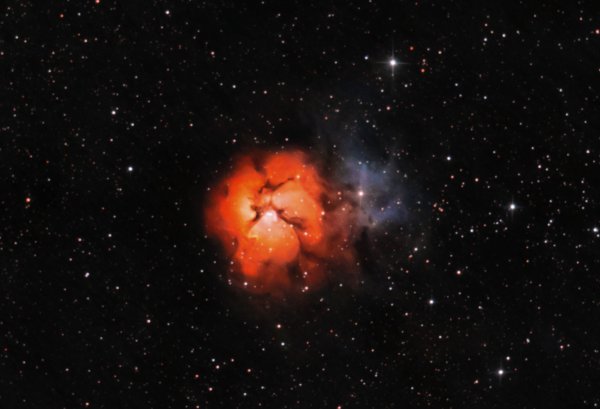 Trifid final.jpg