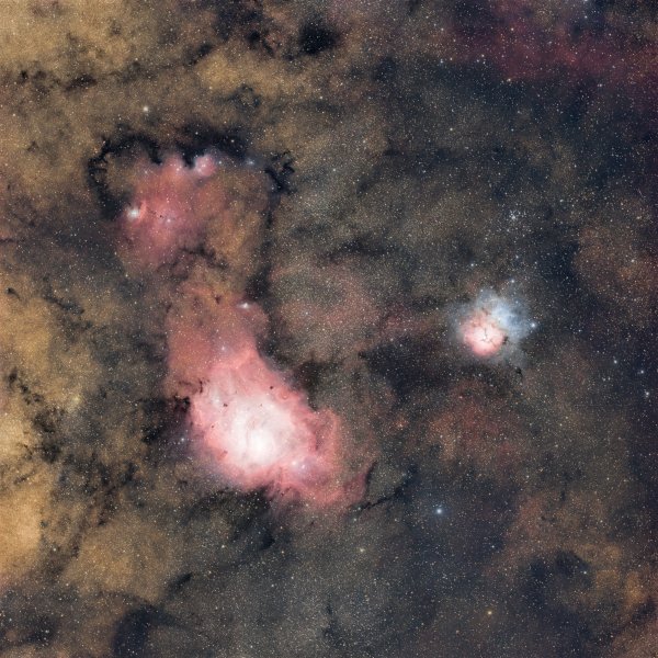 M8 M20 widefield