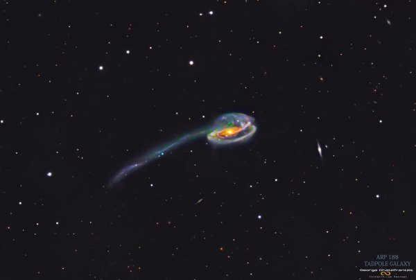 ARP 188 - Tadpole Galaxy
