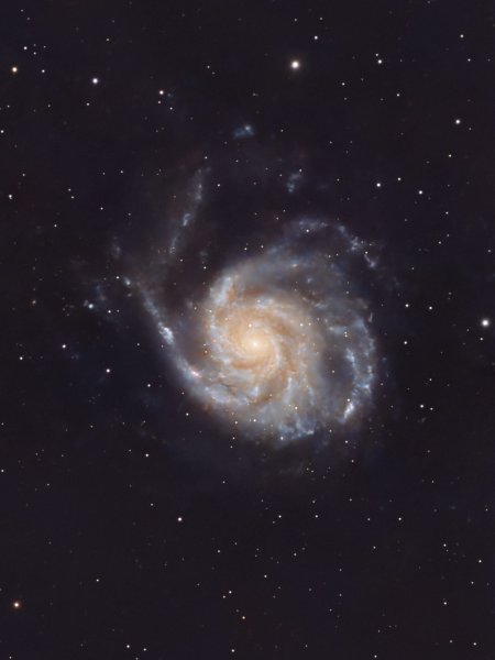 M 101.jpg