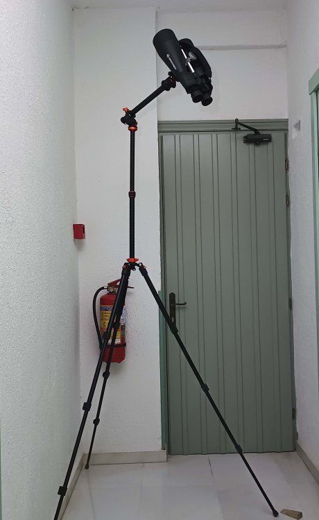 IMG_20250810_014420_045 copy.jpg