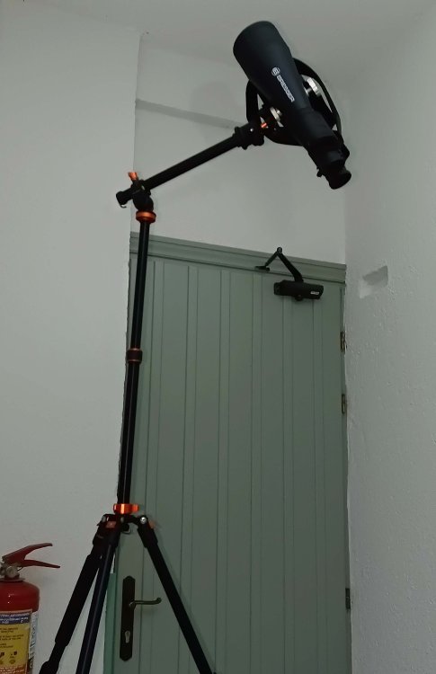 IMG_20250810_014437_560 copy.jpg