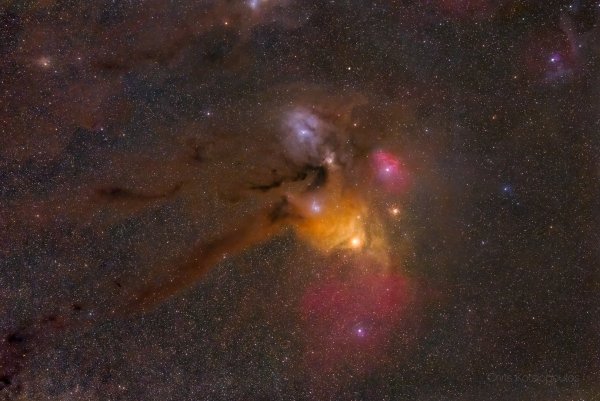 20250725Rho-Oph-region.jpg