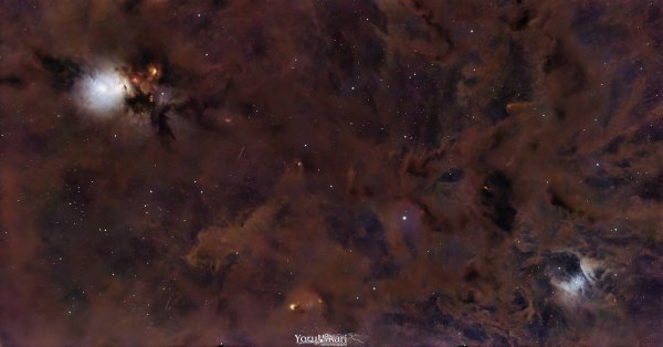 Barnard 205
