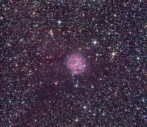 Cocoon Nebula